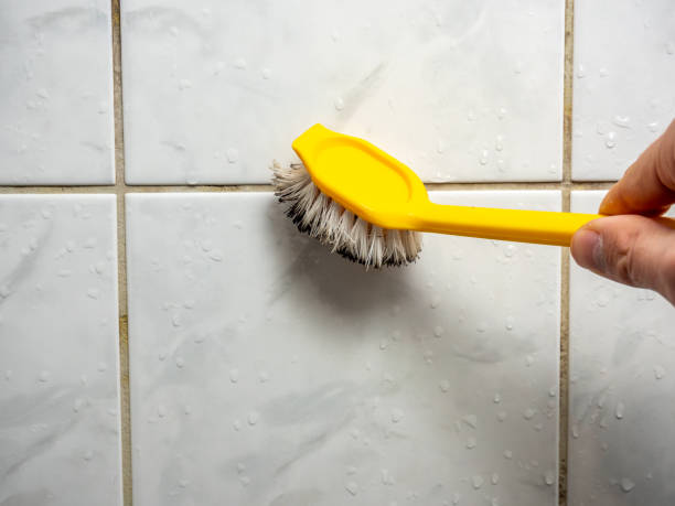 Best Residential Mold Removal  in Dallesport, WA