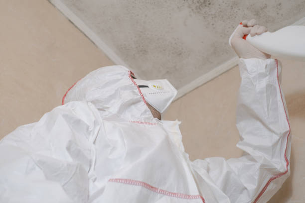 Best Mold Removal Company Near Me  in Dallesport, WA